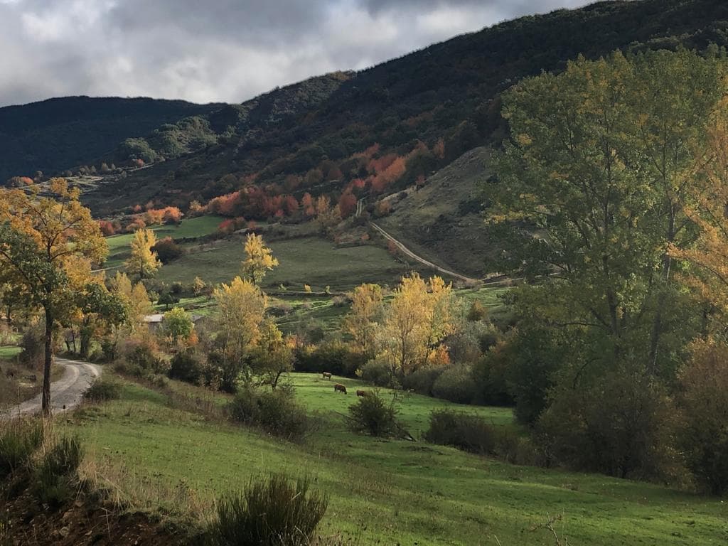 La valle di Pallide in autunno con sentieri tra prati e alberi