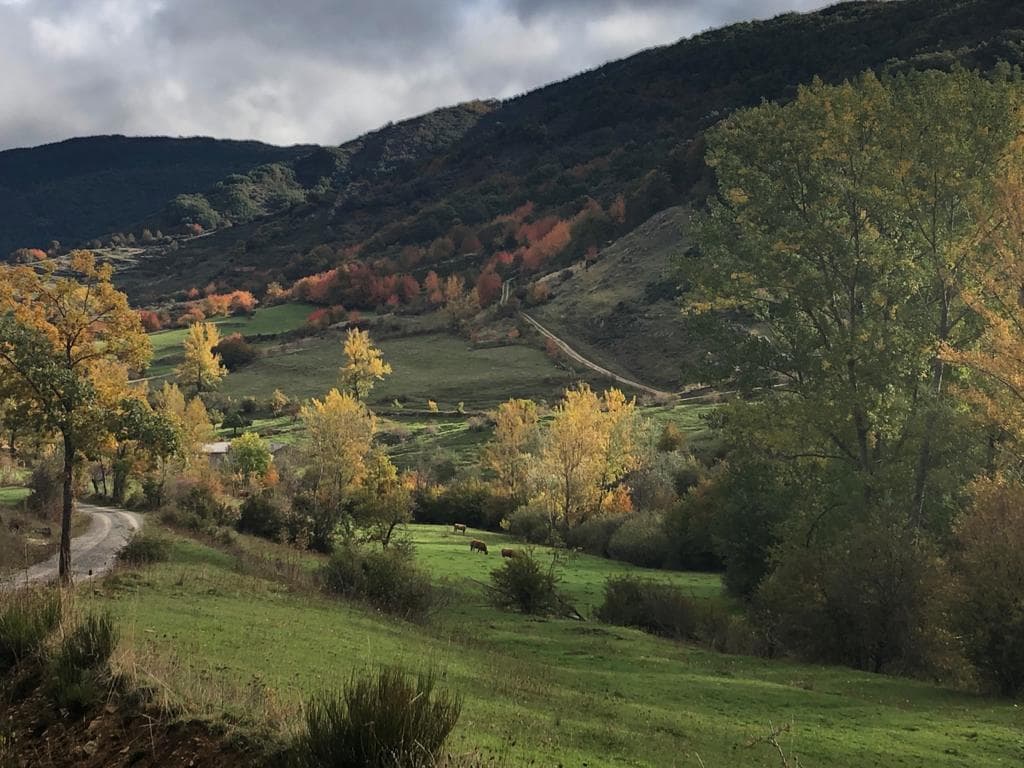 Valle de Reyero con los colores del otoño