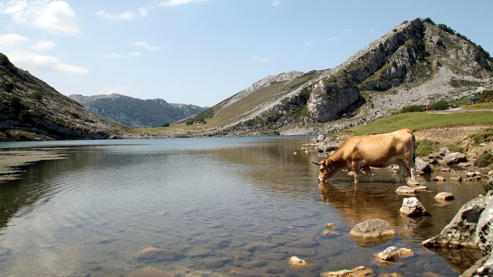 Riposo a Solapeña