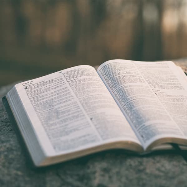 Leggere un libro
