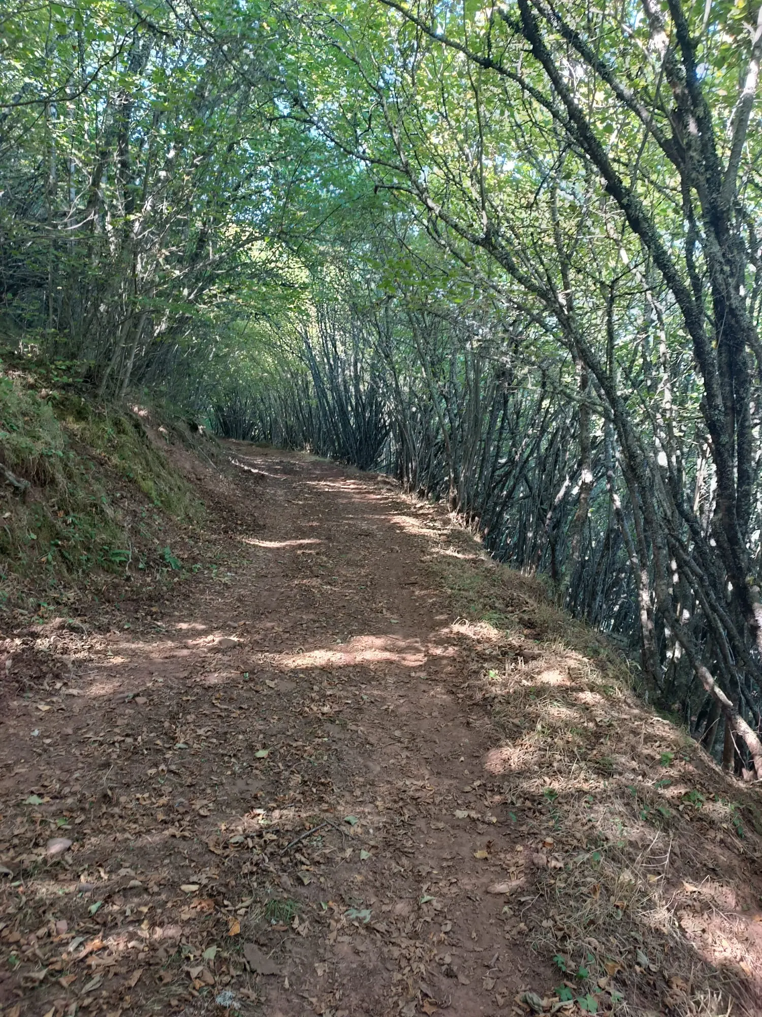 Paseo por las montañas de Pallide en otoño